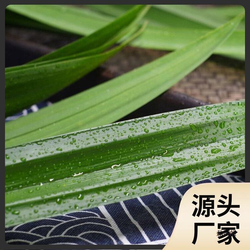 Fresh Pandan Leaves for Consumption, Fragrant Pandan Leaves, 500g, Free Shipping Via Sf Express, for Cakes, Mango Sticky Rice Fresh Pandan Leaves for Consumption, Fragrant Pandan Leaves, 500g, Free Shipping Via Sf Express, for Cakes, Mango Sticky Rice