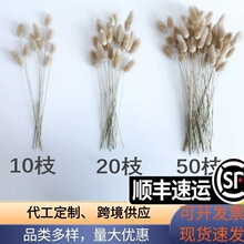 ��β�ݸɻ��羳�߼����滨�ɻ��ɻ�������β�ݸɻ���β��������