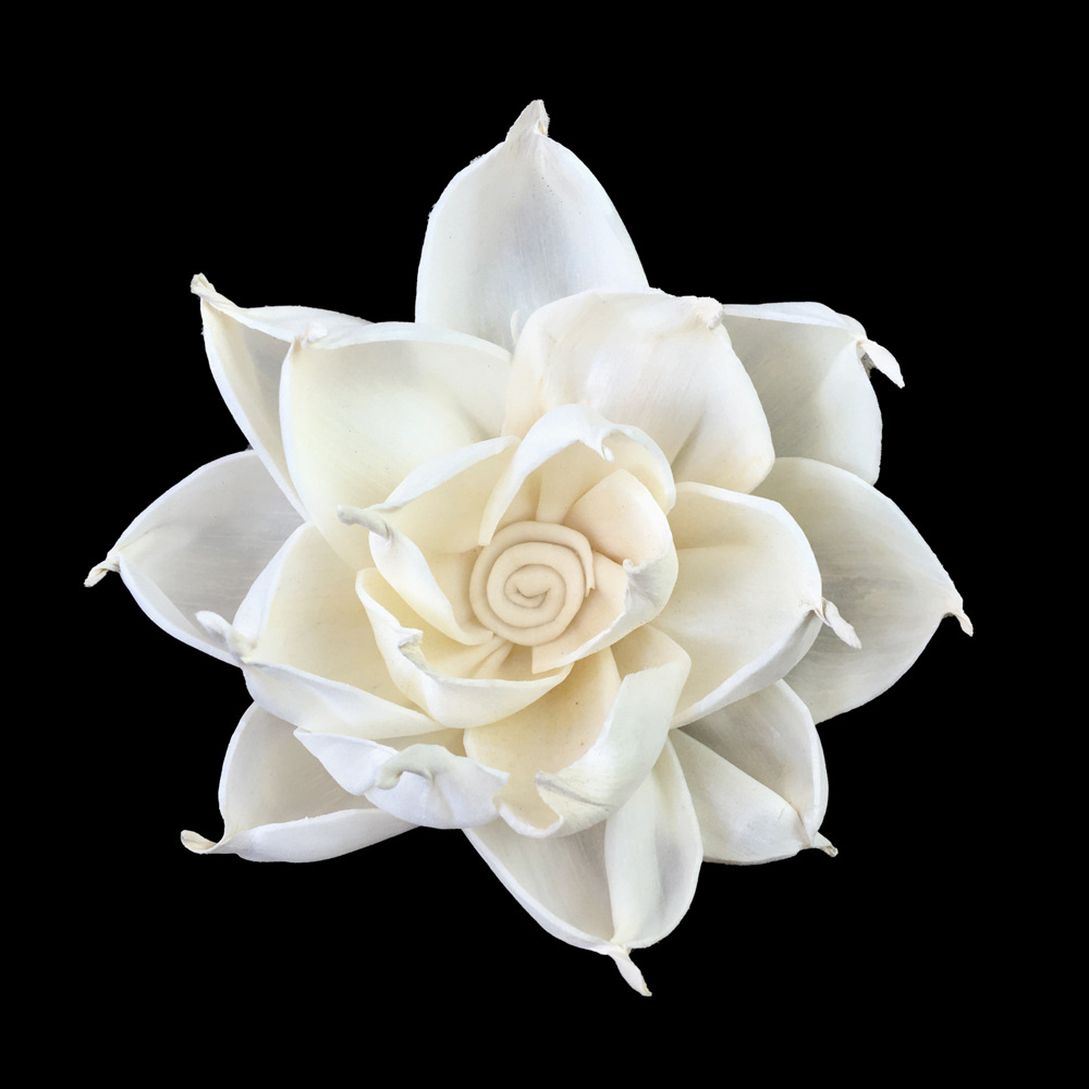 8cm白色栀子花