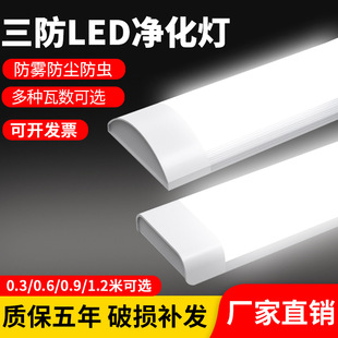 led����1.2�ט���L�l����������T8�������k���җl��40W�չ��