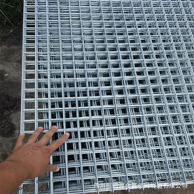 成都镀锌网片 镀锌钢筋网片 养殖用镀锌钢丝网  镀锌铁丝网片