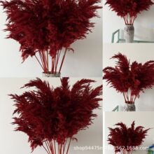 �Ҿ��b[���Ĕz�������˹��Y����Ȕ���JȔ�JȔ����ɻ������YƷ