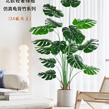 ���W�L����Gֲ������٘�͏dֲ�����Ը߶��p���҃��b��^�[��