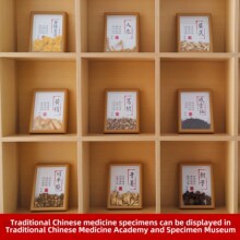 ��ș�˱�չʾ����ș�˱���ș�Ę˱��b���ș�Ę˱������ș�Ļ���