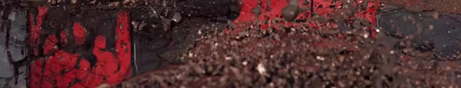 Delixi Watering Pump