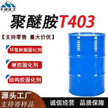 ���Ѱ�T403�h����֬�̻������I�����Ѱ��T���zճ����ճ��T403