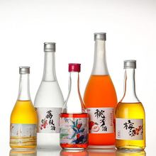 透明玻璃瓶加厚时尚米酒瓶磨砂酒瓶自酿果酒分装瓶空瓶现货批发