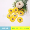 Yellow flower