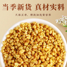 黄苦荞茶黑苦荞大麦大凉山500g麦香型荞麦茶官方旗舰店