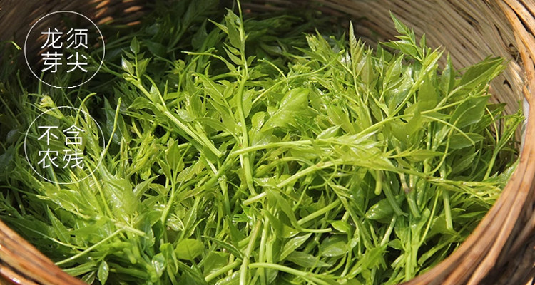 Wild Mei Tea Zhangjiajie Premium Wild Vine Tea 500g Pre-Qingming Purple Gold Bud Tips Hot Brew Herbal Tea in use