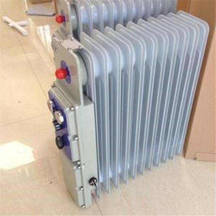 Grupo Sanzheng RB - 2000 / 127 (A) calentador eléctrico a prueba de explosiones para mina de carbón radiador de calefacción subterránea