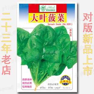 ���������˷N�� �r��ˈ@�������~���̴ּ��~�ʺ��|�۲����߲���