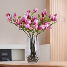 水培粉紫玉兰花干枝鲜切带花苞樱花鲜枝植物室内好养年宵花卉喜庆