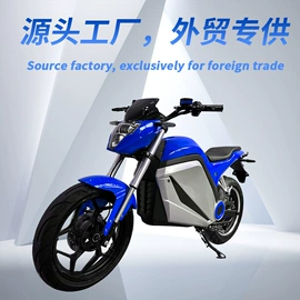 电动三轮车;两轮摩托车;电动摩托车