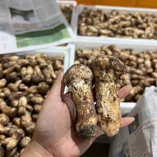 �r�������l 1���b������������ɽ�����r؛ ��؛�Ƶ�ȫ���ɴ��l