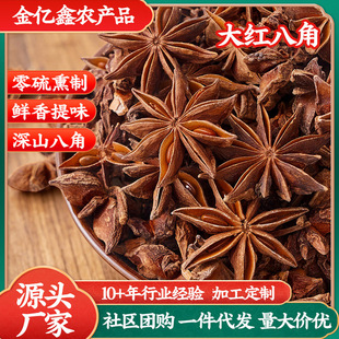 �˽����������{ζ�ϏS�ҹ������l�˽���ɟo���t�˽Ǵ���
