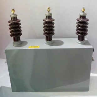 Supply BAM10-100-3 BAM11 BAM12.5 BWF6.3 high voltage parallel capacitor