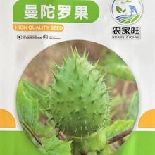 �����ܛ�������_���N��ë�������_�N��һ�����ݱ���@���ݷN��