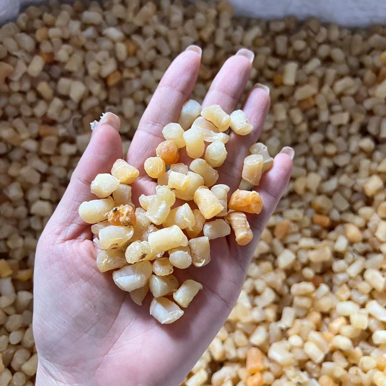 b0e0c13ae18e3fd42bb44a8cc10c99