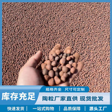 批发园艺花卉陶粒 轻质无土栽培陶粒 粘土陶粒多肉土水培陶粒滤料