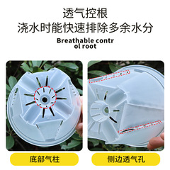 High-End Transparent Green Mountain Pot Heat Plant Pot with Breathable Root Control for Orchids and Phalaenopsis Plastic Flower Pot Wholesale