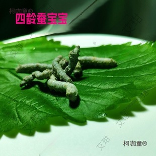 �Q�������w��z��ɫ�����Q�W���B�Q���b�s���Q���g�g�Q������̫��