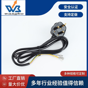 Assembling BS head Singapore British plug power cord