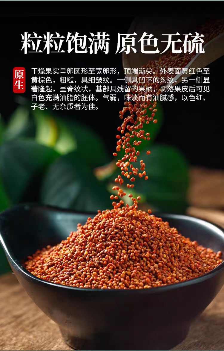 Chu Shi Zi (Broussonetia papyrifera Fruit) — Dried Food Herb, 500g Origin-Direct key features