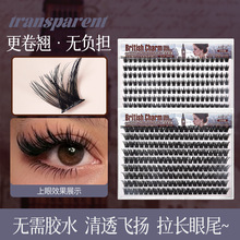 �羳���z�ٽ�ë198�ش������W�����������ֶΆδ���ճ�����۽�ë