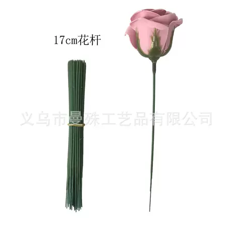 17cm leafless stem