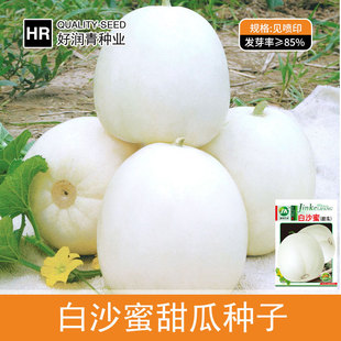 Դ�^���S���l��ɳ����ϷN�Ӱ�ɫ���ǹ���ϷN�Ѵ��ļ�ˮ��������