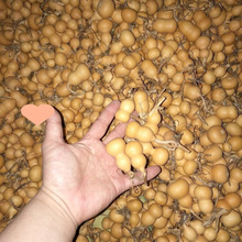 ���J��ȻС���J�]��覴��������Π��������]�п��Ԕ[��Ұ�������F