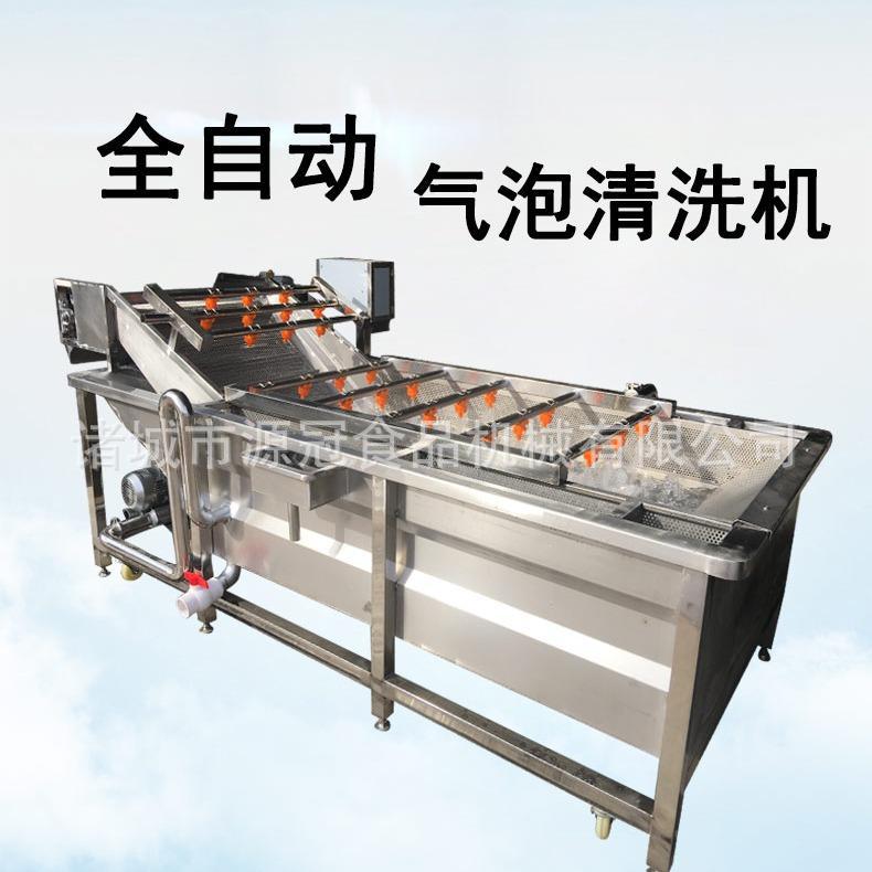 蔬菜气泡清洗机 塑料配件零件清洗设备 水果高压喷淋洗果机洗鱼机