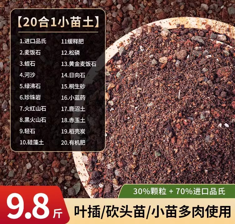 다육식물 묘목 4.9kg (30% 입자)