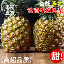 ���Ϻ�������5�����ʲ�ժ��˺��������Ӧ��ˮ�������»�