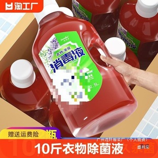Jin Washing Machine Household Clothes Disinfecting Water Clothes Disinfecting Liquid Underwear Underwear Liquid Removal Clothes Sheng Bangrong China