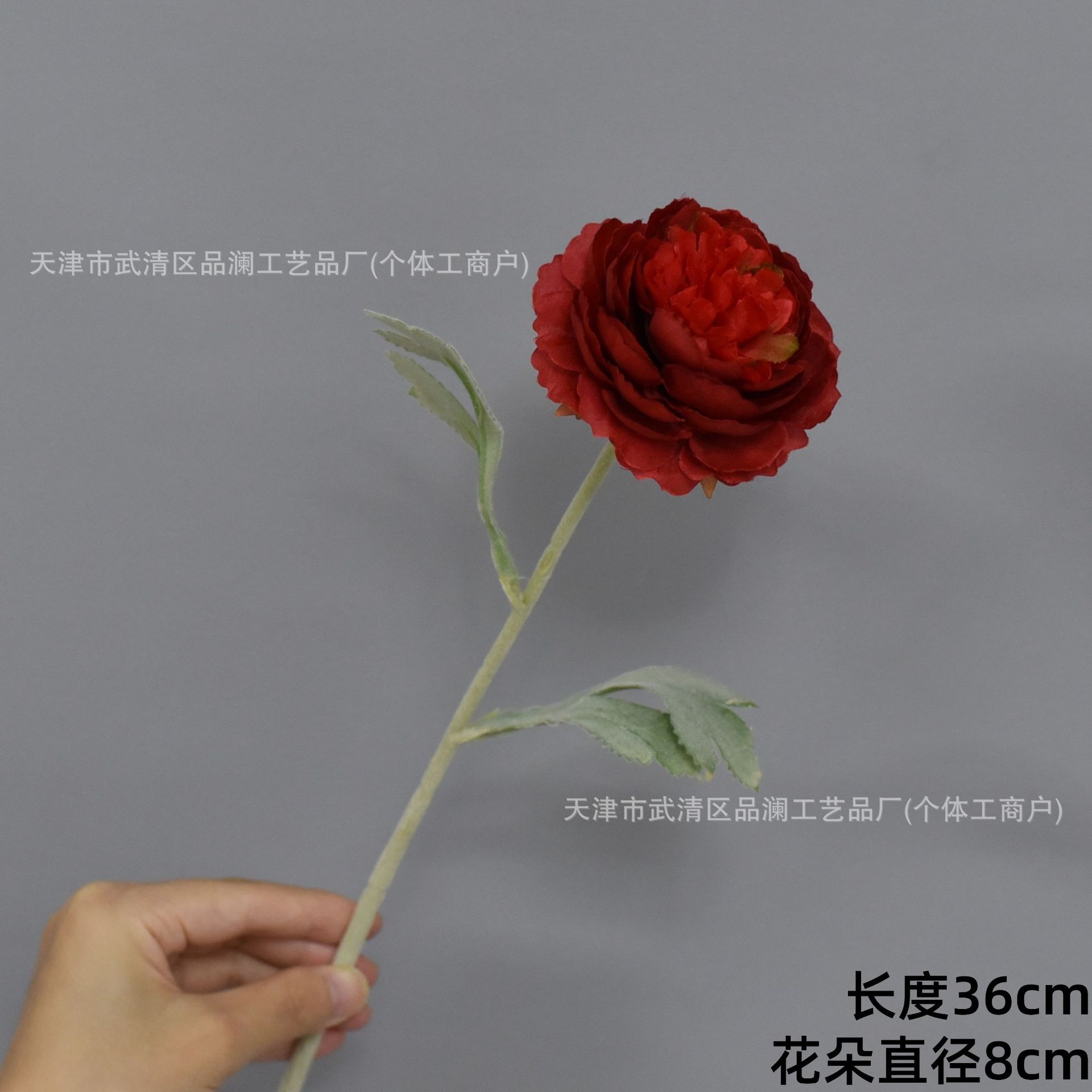 단일 노출된 연꽃