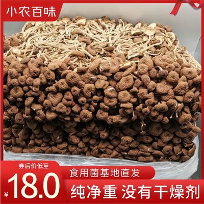 特产批发干茶树菇商用开伞净重500克1斤古田茶树菇南北干货食用菌|ms