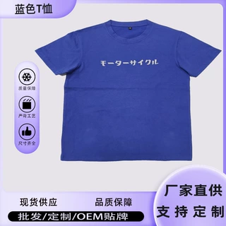 外贸全棉潮牌日式流行合体个性DIY圆领短袖T恤来图来样工厂定制