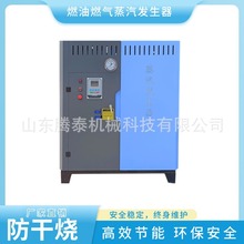 燃油燃气蒸汽发生器 全容积29升 30秒出蒸汽 符合25年新规 超低氮