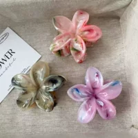 Акриловая заколка CANYI, летняя заколка для волос, атмосферная ракушка-брошь, (перепродажа), европейский стиль, градиент