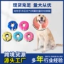伊丽莎白充气定制保护项圈