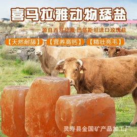 装饰台灯;其他非金属;其他非金属