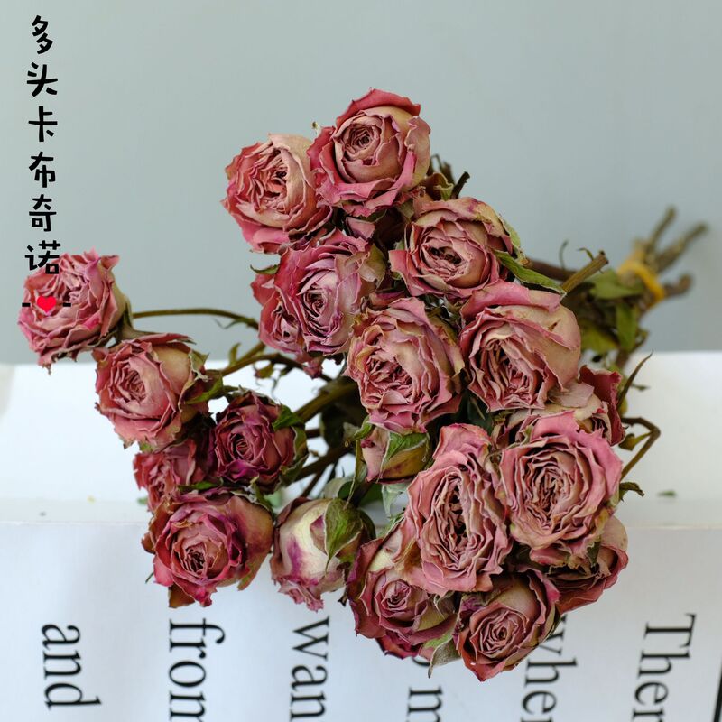 雲南昆明直発多頭バラの花の単頭バラの花の花束バラの泡飾りメーカーの卸売り|undefined