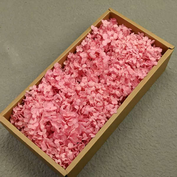 AB wood hydrangea deep powder (100g)