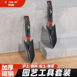 ���̈@����@�P���r���P���B���s�������F�@�����N�˷N���P������