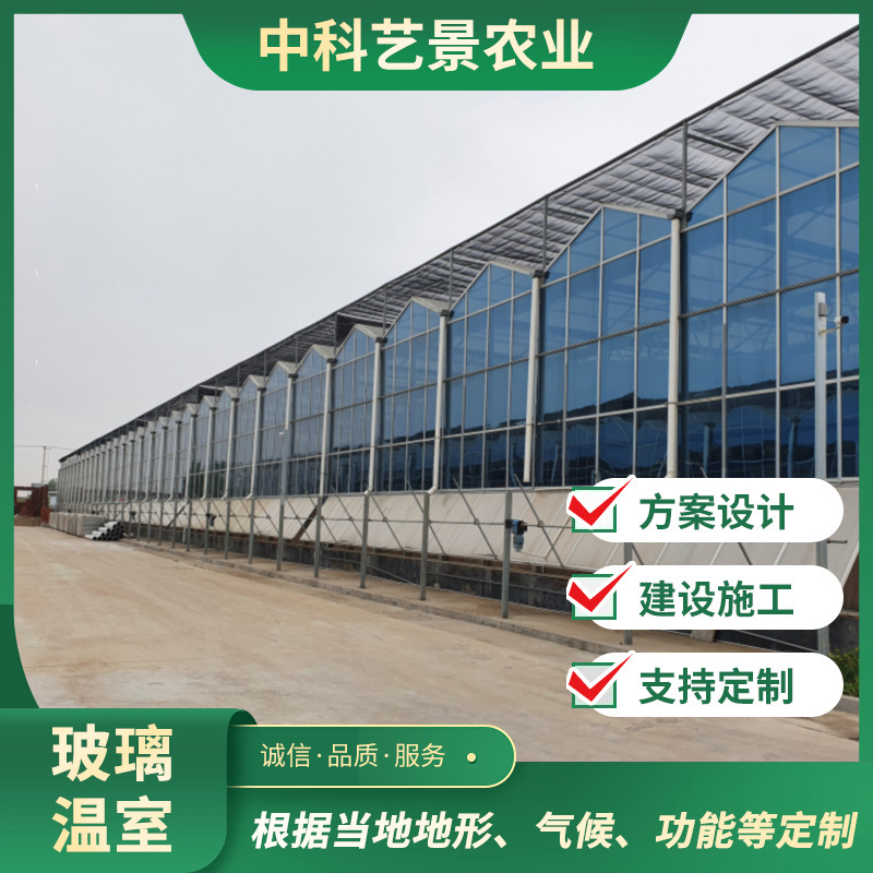 Multi-Span Flower Greenhouse Design with Even Light Distribution in the Shed, Large Span and Long Service Life, Intelligent Glass Greenhouse