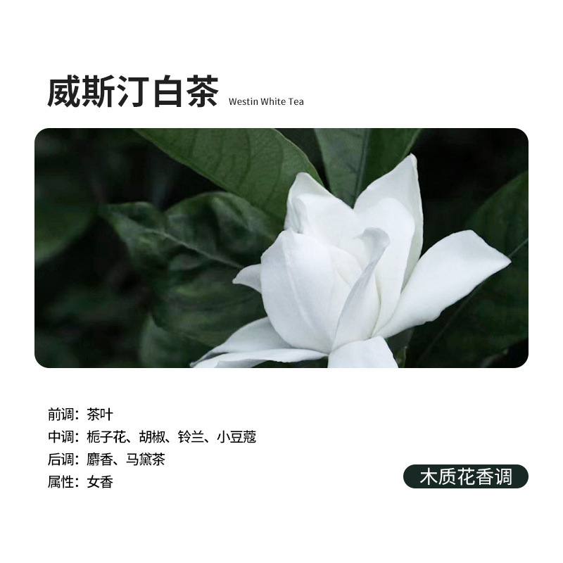 智能香薰机家用自动喷香机跨境家用清新剂厕所除臭充电款香氛J4|undefined