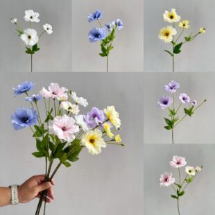 ���滨������ĵ��Сĵ��С���¼ҾӼٻ���۹�����ܛ�b�b����Q��