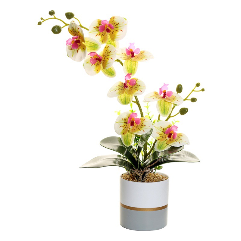 Flor artificial de dos tenedores de ocho cabezas Phalaenopsis bonsai flor artificial bonsai suministro directo de fábrica decoración del hogar entrega de una pieza